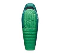 Sleeping bag Sea to Summit Ascent -1C/30F Down Sleeping Bag Regular (Green)