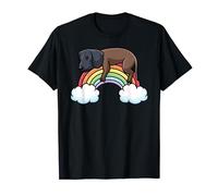 Sleeping Bavarian Mountain Hound Rainbow Dog Napping Pajama T-Shirt