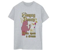 Sleeping Beauty Women's Once Upon A Dream Boyfriend T-Shirt in Grey | Size: 5XL Sleeping Beauty Grey 5XL