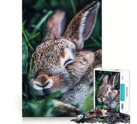 Sleeping Bunny in Grass Jigsaw Puzzles 1000 Pieces for Teenagers Memory Upgrade Relaxing Fun Sharp Cut Art Collection Piece 50x75cm