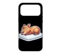 Sleeping Capybara Cozy Women Men Lazy and Cute Capybara Case for iPhone 17 Pro Max
