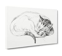 Sleeping Cat By Jean Bernard Canvas Print | Gallery Wrapped 30mm Frame Wall Art | 30x20 inches | Ready to Hang | Retro Animals Picture | Living Room Bedroom Lounge Office