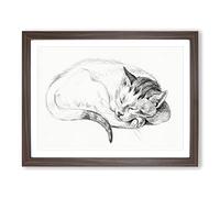 Sleeping Cat By Jean Bernard Vintage Framed Print | A2 Walnut Framed Wall Art | Ready to Hang | Classic Animal Picture | Living Room Bedroom Lounge Office
