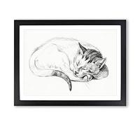 Sleeping Cat By Jean Bernard Vintage Framed Print | A4 Black Framed Wall Art | Ready to Hang | Classic Animal Picture | Living Room Bedroom Lounge Office