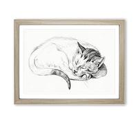 Sleeping Cat By Jean Bernard Vintage Framed Print | A4 Oak Framed Wall Art | Ready to Hang | Classic Animal Picture | Living Room Bedroom Lounge Office