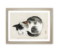 Sleeping Cat By Kono Bairei Asian Japanese Framed Wall Art Print, Ready to Hang Picture for Living Room Bedroom Home Office Décor, Oak A3 (46 x 34 cm)