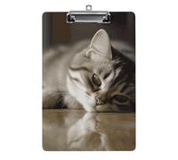 Sleeping Cat Clipboard Retractable Hanging Tab Clip Board Plastic Clipboard Nursing Clipboards Nurse, Doctor, Cute Design for Standard Size 12.5 X 8.5Inch