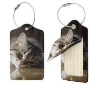 Sleeping Cat Luggage Tag for Suitcase PU Leather Suitcase Tag with Stainless Steel Loop and Address Card Baggage Tags Cute Bag Name Travel Tags ID Labels for Women Men 1