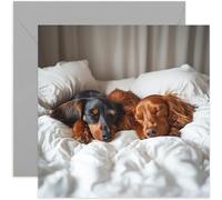 Sleeping Dogs Greeting Card - Perfect Greeting Card for Dog Lovers - Thinking of You Card - Gift - Just Because, Friendship, Love, Birthday - For Her