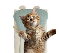 Sleeping facts for dogs, dog dog - dog bed with winter cushion | Multifunctional multifunctional failure readers for mobile mobile cats for indoor and outdoor use