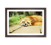 Sleeping Fox Framed Print | A2 Walnut Framed Wall Art | Ready to Hang | Modern Animal Picture | Living Room Bedroom Lounge Office