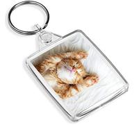 Sleeping Ginger Kitten Keyring Cat Cats Animal Cute Baby Fun Keyring Gift #13113