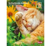 Sleeping Kittens Calendar Trixie Multicolore One size