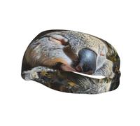 Sleeping Koala Cap Print Comfortable Sports Sweatband For Men Women Stretchy Breathable For Running Yoga