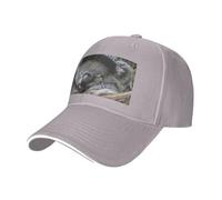 Sleeping Koala Cap Print Unisex Baseball Cap,Golf Hat with Adjustable Strap,for Outdoor Activities and Everyday Wear, Gray, One size