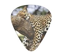Sleeping Leopard Printed Guitar Picks With Organizer Storage Box 0.46 0.71 0.96 Mm Includes Thin Medium Heavy For Bass Electric Acoustic Guitars Ukulele 12 Pack