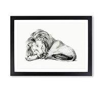 Sleeping Lion by Jean Bernard Framed Print | A2 Black Framed Wall Art | Ready to Hang | Modern Animal Picture | Living Room Bedroom Lounge Office