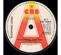 Sleeping Lions (2) - Wonderful You Are