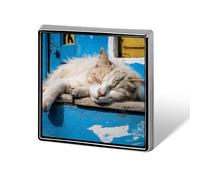 Sleeping Little Cat Brown And Tan Lapel Pin for Men Women Square Fashion Brooch Pin - Cute Enamel Badges, Aluminum Alloy Metal Pinback for Hats, Shirts, Bags, Jackets & Accessories