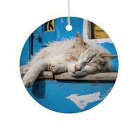 Sleeping Little Cat Hanging Ceramic Ornaments, Christmas Tree Decorations, Funny Home Decor Gifts for Women, Sisters & Work Best Friends