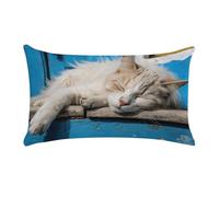 Sleeping Little Cat Pillow Cases for Sofa, Super Soft Plush Pillow Cover with Zipper, Luxury Cozy Pillow Shams for All Seasons, Lightweight Pillowcases for Bedroom, 12" X 20"