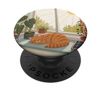 Sleeping Orange Tabby in Sunny Window PopSockets Adhesive PopGrip