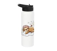 Sleeping Sloth Cloud Moon Night Stars Cartoon Stainless Steel Insulated Water Bottle