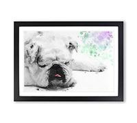 Sleeping White British Bulldog in Abstract Framed Print | A2 Black Framed Wall Art | Ready to Hang | Abstract Flag Picture | Living Room Bedroom Lounge Office