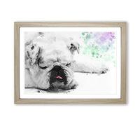 Sleeping White British Bulldog in Abstract Framed Print | A2 Oak Framed Wall Art | Ready to Hang | Abstract Flag Picture | Living Room Bedroom Lounge Office