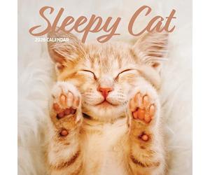Sleepy Cat 2026 Calendar
