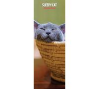 Sleepy Cat 2026 Slim Calendar