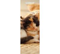 Sleepy Cat 2027 Slim Calendar
