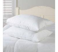 SleepyNights Love2Sleep SUPER SPRING BOUNCE BACK PILLOWS 6 PACK (6 PILLOWS) WITH FREE QUILTED POLYCOTTON PILLOW PROTECTORS