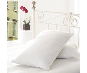 SleepyNights Ultra Firm Support Pillows for Sleeping - 2 Pack, Standard Size, Hotel Quality, Neck & Back Support, Hypoallergenic Bed Pillows for Side & Back Sleepers With Quilted Pillow Protectors