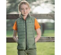 Sleeveless Puffer Jacket Premier Equine Dante