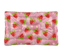 Sletend Strawberry Fruits Pet Bed Cute Dog Bed Mat Absorbing Non Slip Pad Pet Sleeping Mat for Small, Medium, and Large Dogs Puppy Cat 24 in x 18 in