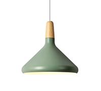 SLFFLS Light, Creative Restaurant Decorative Ceiling Lights, Screw Metal Pendant Lamps Hanging on Bar Counter, Lantern for Corridor (Color : Green, Si
