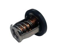 SLGtuCV 17670-94J00 Thermostat 60° For Suzuk Marine DF8A 9.9 15 20 25 30A Outboard Engines 17670-94J00 17670-94J01 OMC 5036226 Accessories replacement