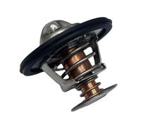 SLGtuCV 3831425 Thermostat Kit 76°C / 169°F For Diesel Engine AD30A AD40B TAMD40A 875787 824200 1544297 273951 467014 7467014 Accessories replacement