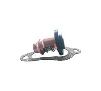 SLGtuCV Thermostat 8M0139434 For 4-stroke 9.9HP 10HP 15HP 20HP Outboard Engine 90-8M0139434 Accessories replacement