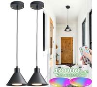 SlHYFMO Battery Operated Pendant Light Set of 2, RGB Color Changing Rechargeable Hanging Light with Remote Up to 50 Hours Use, Black Vintage Pendant Light No Wiring for Bedroom Living Room