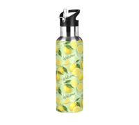 Sliced Lemons Green Leaves Stainless Steel Water Bottle 20 Oz, BPA-Free Sports Water Bottle Leakproof Water Bottles