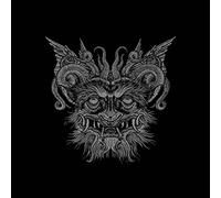 Slidhr - The Futile Fires Of Man [VINYL]
