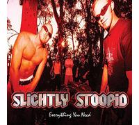 Slightly Stoopid - Everything You Need [VINYL]