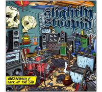 Slightly Stoopid - Meanwhile...Back At The Lab [VINYL]