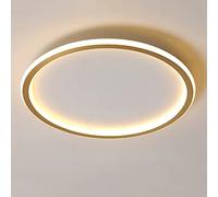 Slim Modern Round LED Ceiling Light Fixture 48W Gold & Warm White Surface Mount Metal Lamp for Living Room & Bedroom Nordica Style 40cm Diameter