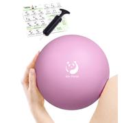 Slim Panda 8 Inch Thick Matte Pilates Ball with Pump, 20cm Yoga Ball for Core Training, Balance, Stability, Anti-Leakage Valve