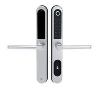 Slim Smart Fingerprint Door Lock with Handles, Keyless Entry Door Lock, Bluetooth Fingerprint Keypad Card Keyless Unlock for Aluminum Swing Wooden Door (Silvery)