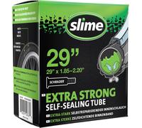 Slime 30058SL Bike Inner Tube Puncture Sealant, Self Sealing, Prevent and Repair, Schrader Valve, 40/57-406mm (20" x1.50-2.125"), packaging may vary, Green