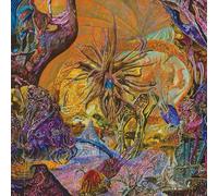 Slimelord - Chytridiomycosis Relinquished